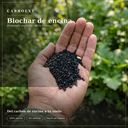 Biochar de Encina — Enmienda natural que retiene agua y da vida a tu suelo
