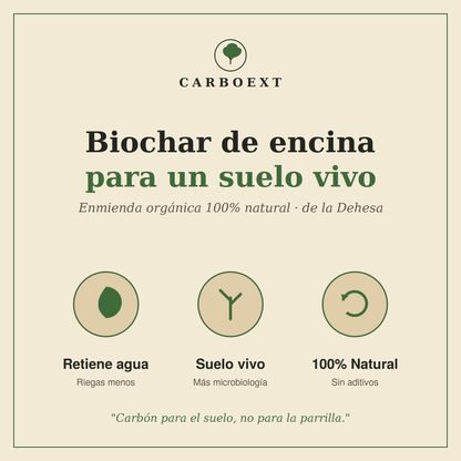 Biochar de Encina — Enmienda natural que retiene agua y da vida a tu suelo