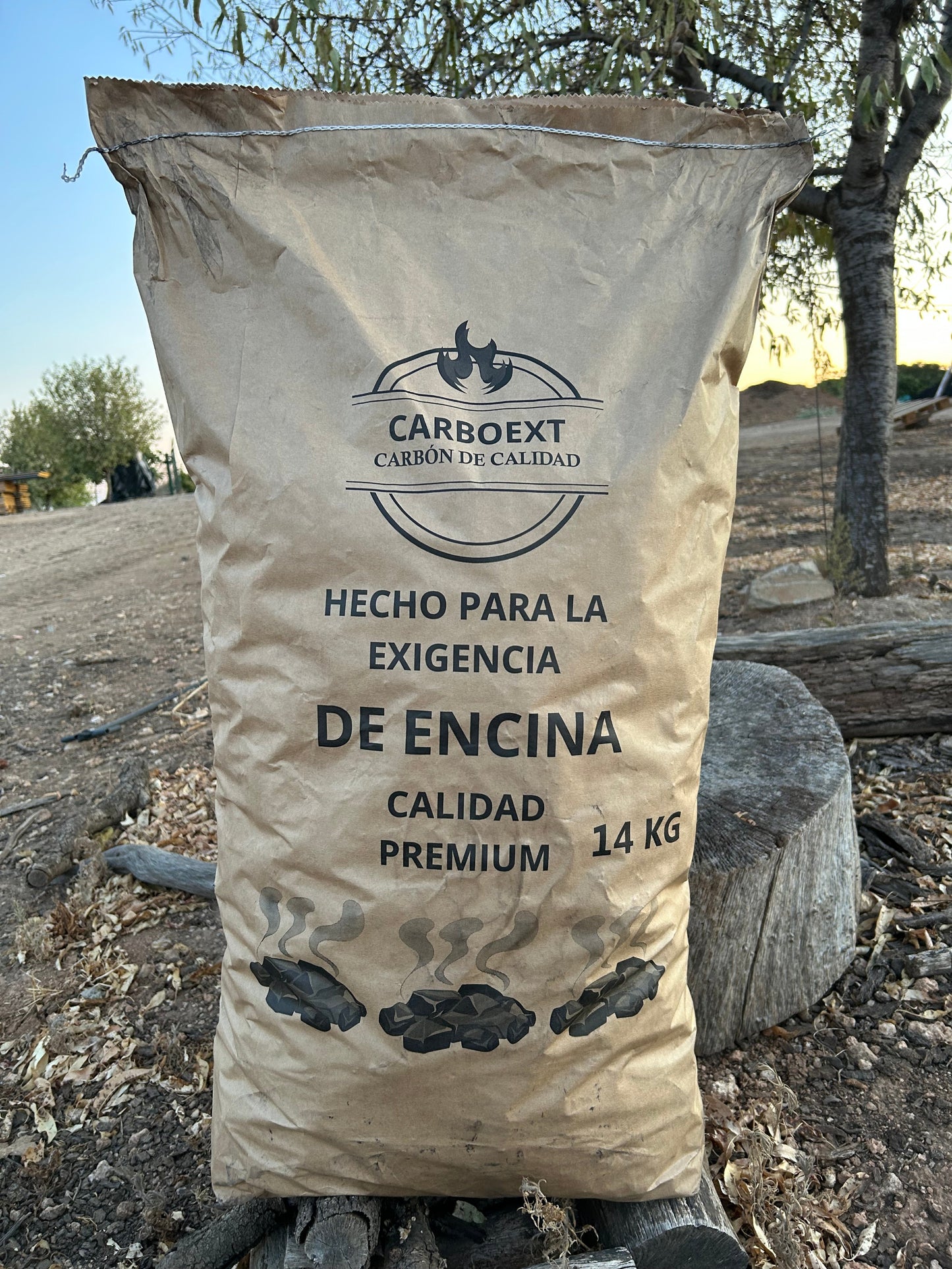 Carbon Vegetal de Encina 14Kg