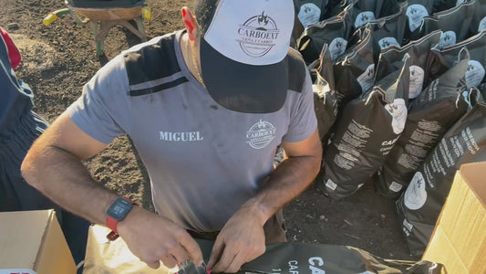 Carbón Encina 10kg — Brasa seria, sin excusas