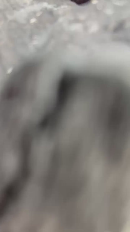 Carbón Vegetal de Encina 3KG